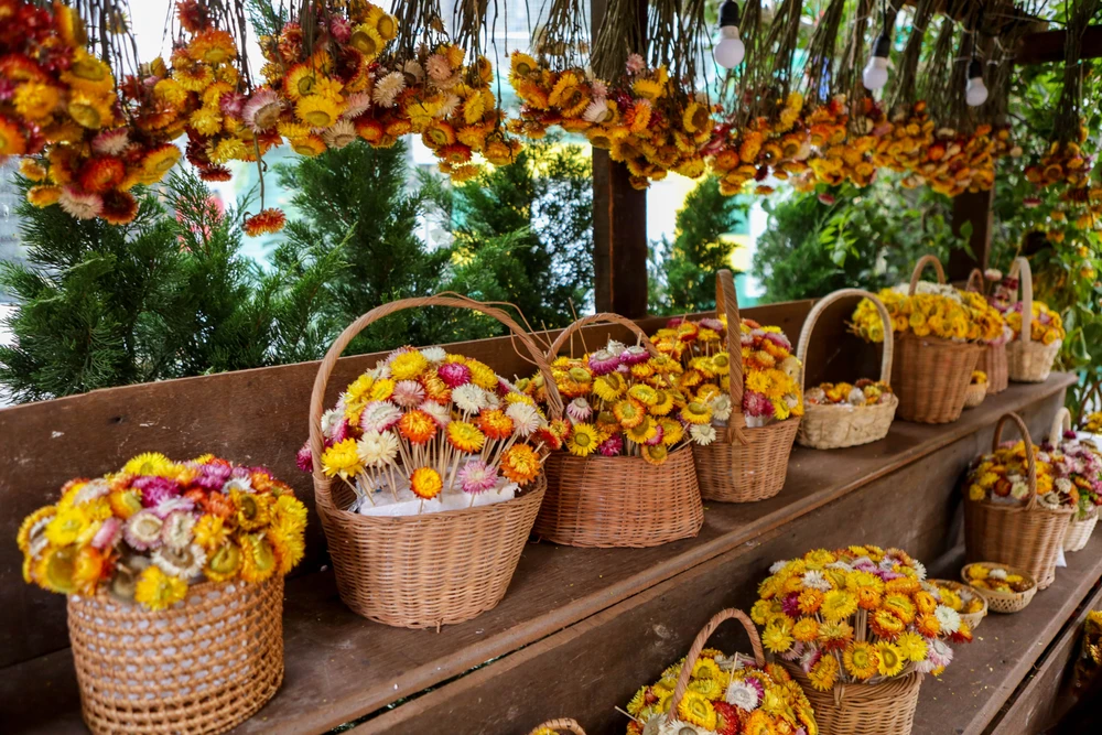 Giới trẻ Sài Gòn đổ xô check-in vườn hoa bất tử, bắt trend Lật mặt 7