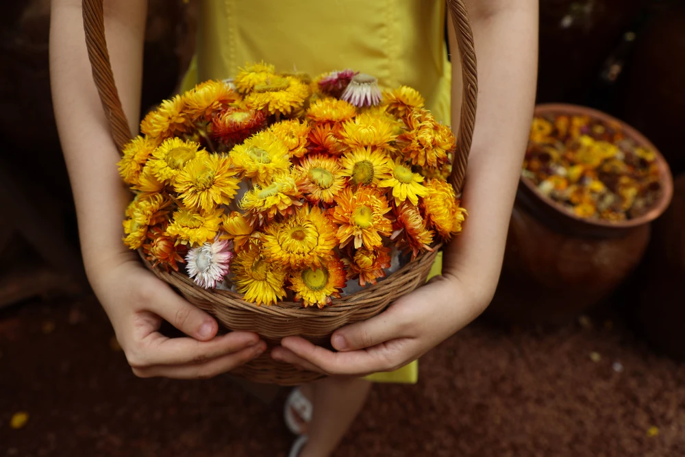 Giới trẻ Sài Gòn đổ xô check-in vườn hoa bất tử, bắt trend Lật mặt 7