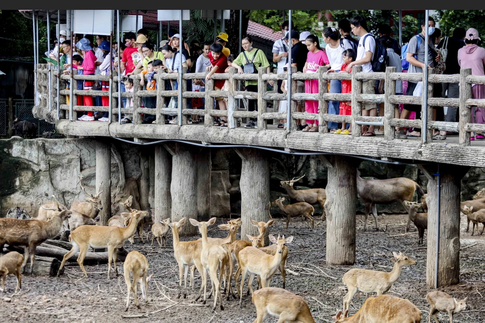 Thảo Cầm Viên Sài Gòn đông nghịt người, hơn 22.000 lượt khách vui chơi 2-9