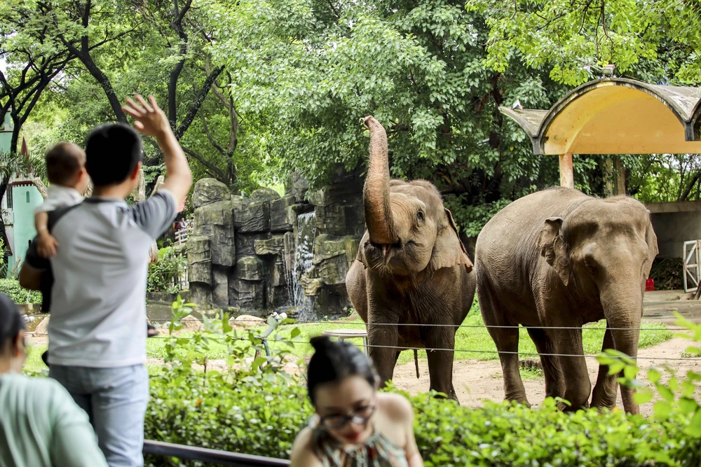 Thảo Cầm Viên Sài Gòn đông nghịt người, hơn 22.000 lượt khách vui chơi 2-9