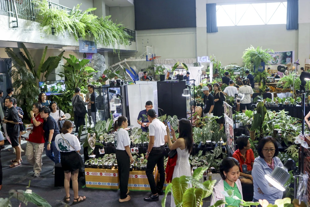 Hội chợ kiểng lá 2024: Sân chơi bạc triệu cho người mê cây cảnh