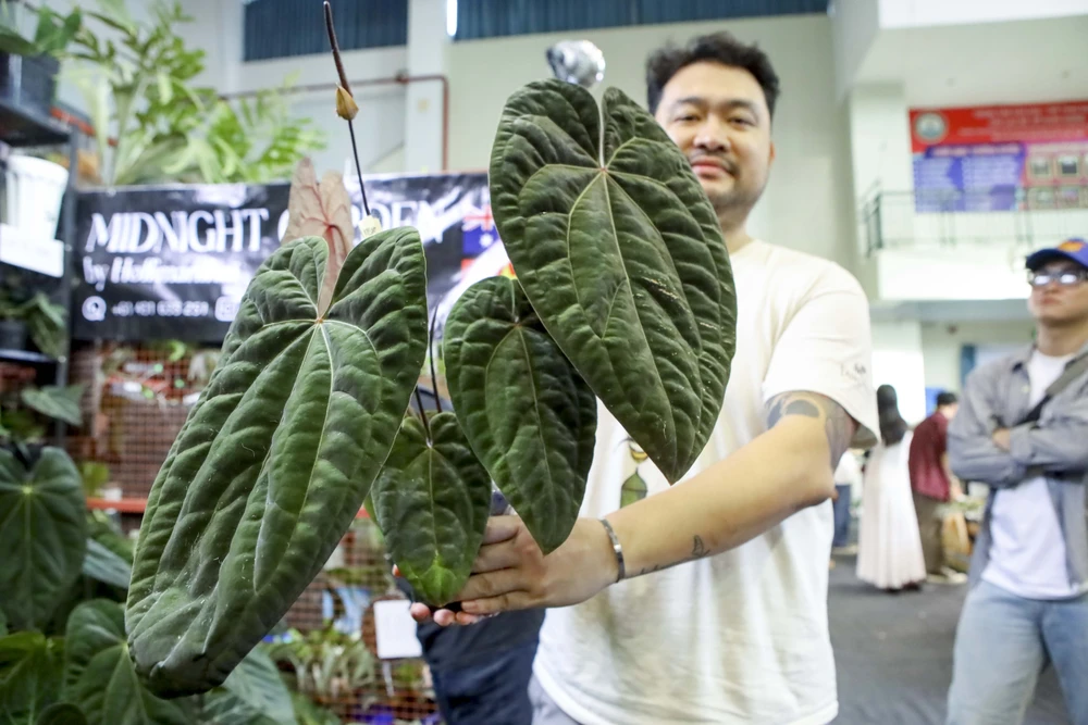 Nguoi-me-la (11).jpg