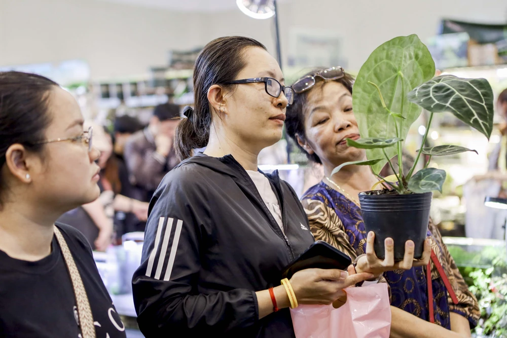 Nguoi-me-la (15).jpg