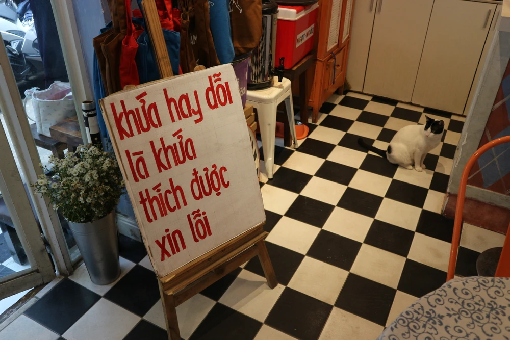 Các câu tuy ngắn gọn nhưng rất thu hút do thông điệp 'chữa lành' và hài hước