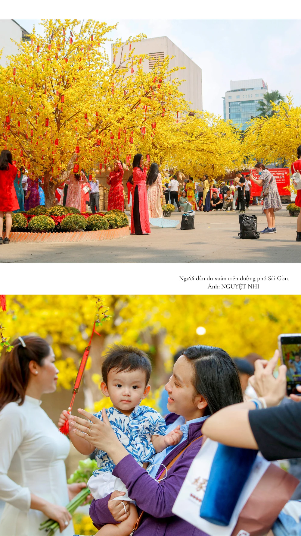 qua-tet-khong-chi-la-qua (3).png