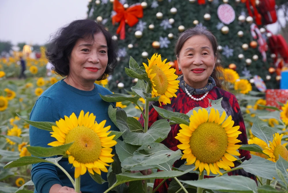 Vuon-hoa-huong-duong (12).JPG