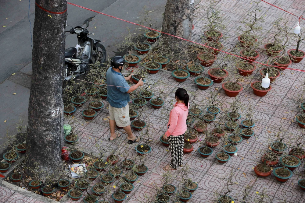TP.HCM: Chợ hoa Tết vắng người mua, tiểu thương 'buôn chuyện' với nhau hết ngày