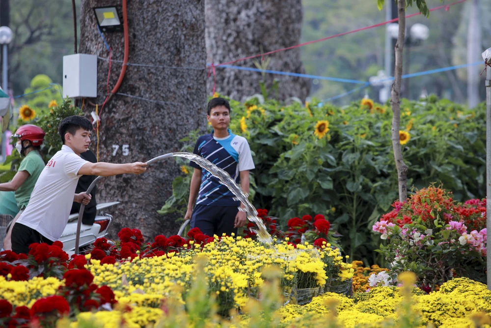 TP.HCM: Chợ hoa Tết vắng người mua, tiểu thương 'buôn chuyện' với nhau hết ngày