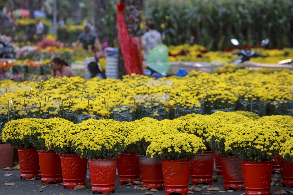 TP.HCM: Chợ hoa Tết vắng người mua, tiểu thương 'buôn chuyện' với nhau hết ngày
