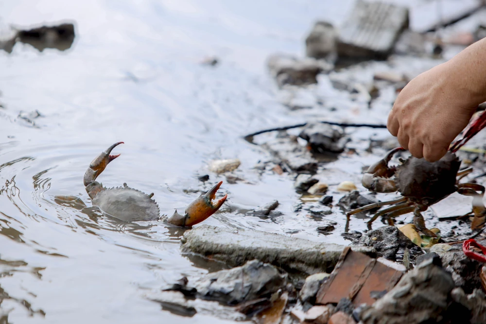 phong-sinh-ram-thang-gieng (1).jpg