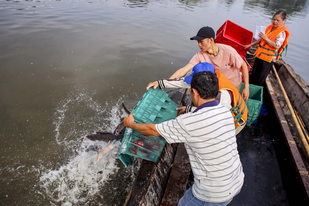 Đông nghẹt người viếng chùa, phóng sinh Rằm tháng Giêng