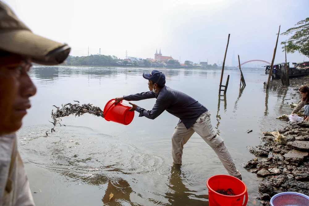 phong-sinh-ram-thang-gieng (5).jpg