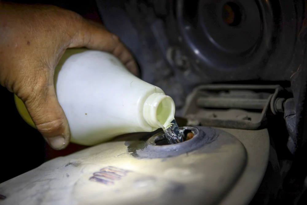 Chu-long-quan-9 (78).jpg