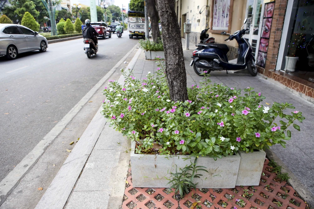 via-he-o-tp.hcm (28).jpg