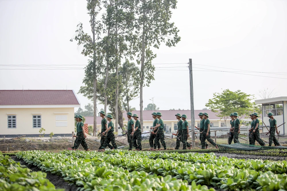 tăng gia sản xuất