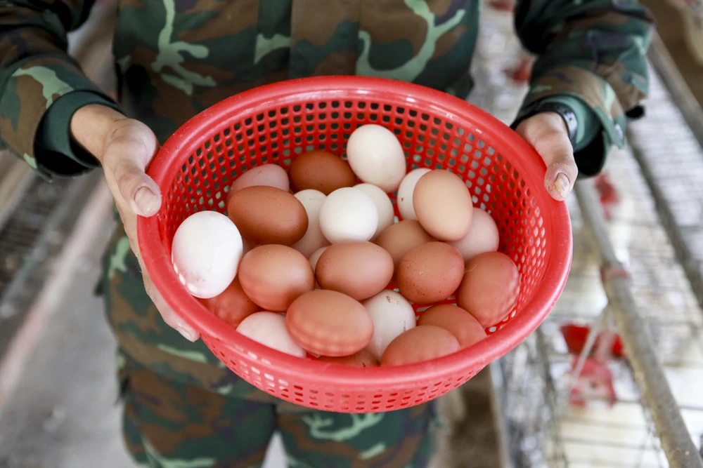 Nhung-ngay-trong-quan-ngu-su-doan-5 (24).jpg