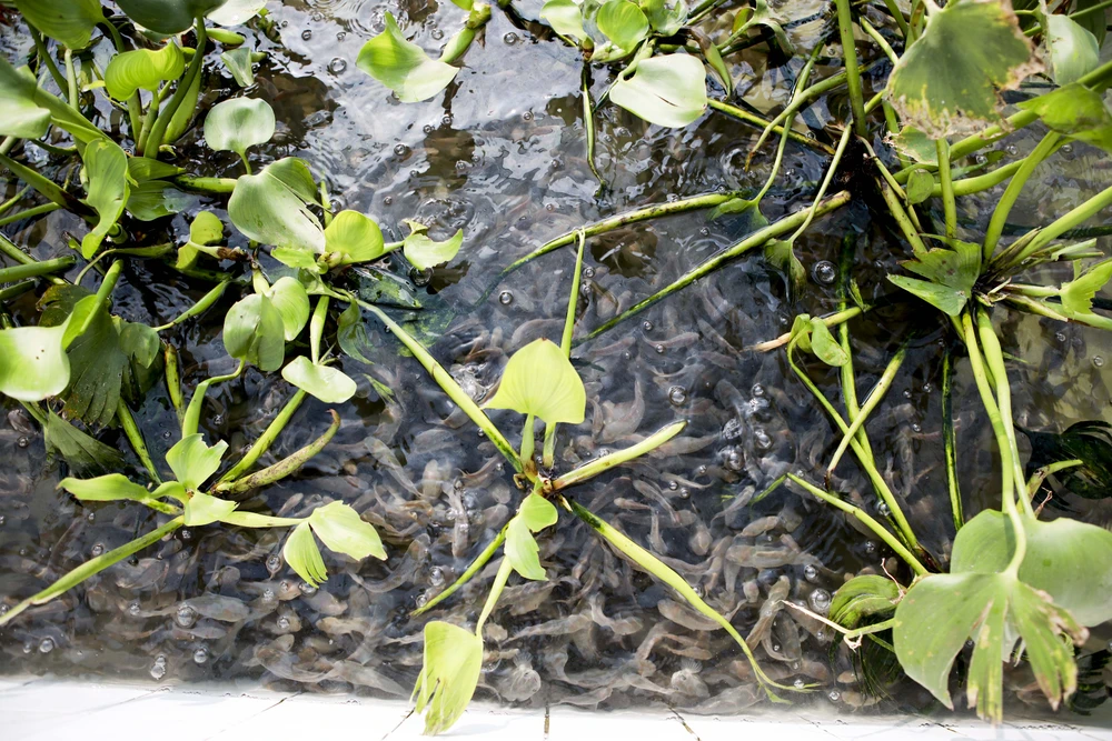 Nhung-ngay-trong-quan-ngu-su-doan-5 (36).jpg