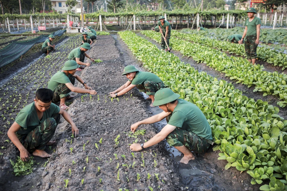 Nhung-ngay-trong-quan-ngu-su-doan-5 (37).jpg