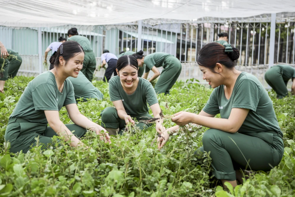 Nhung-ngay-trong-quan-ngu-su-doan-5 (7).jpg