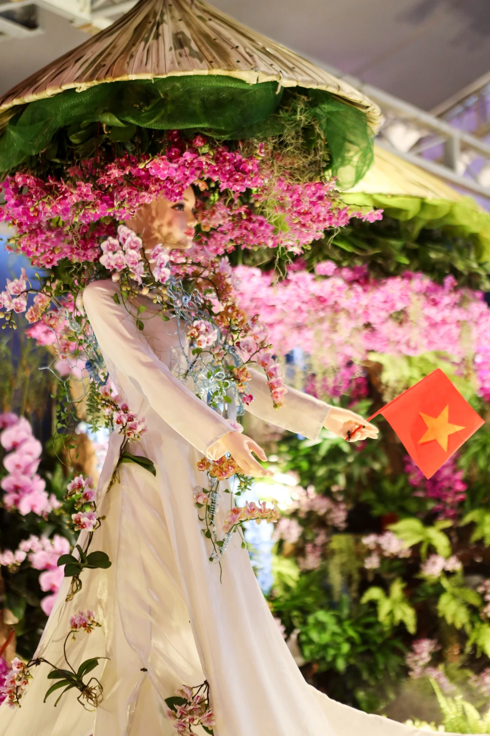 Festival hoa lan (11).jpg