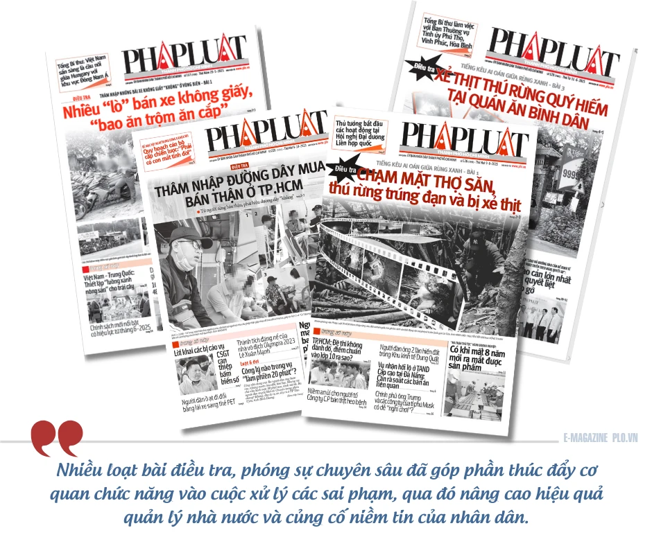 Báo chí TP (6).png