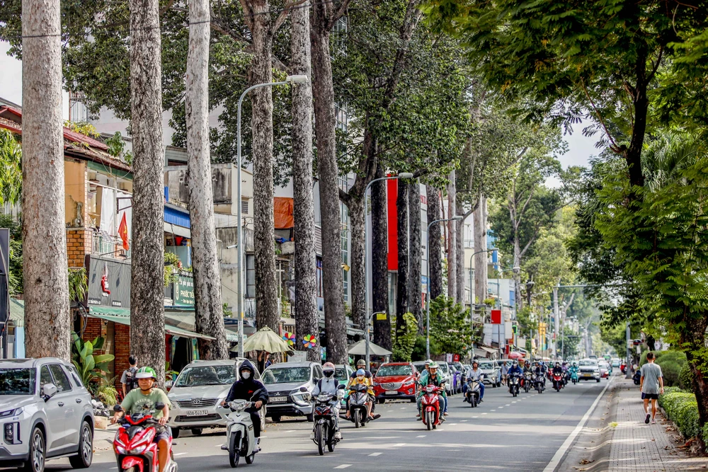 Phường Chợ Quán (11).jpg