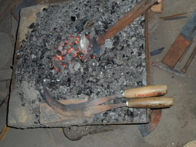 Bố mẹ thợ rèn nuôi ba con đậu ĐH Y Hà Nội ảnh 2