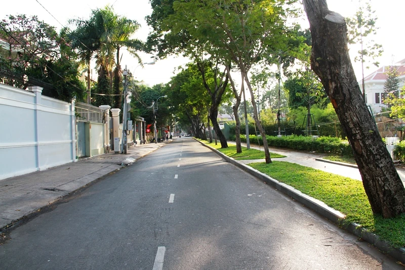 Phố Sài Gòn lãng mạn ngày đầu năm ảnh 17