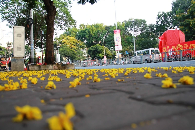 Phố Sài Gòn lãng mạn ngày đầu năm ảnh 24