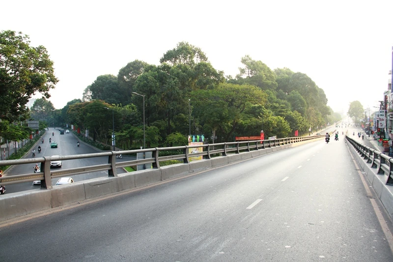 Phố Sài Gòn lãng mạn ngày đầu năm ảnh 11