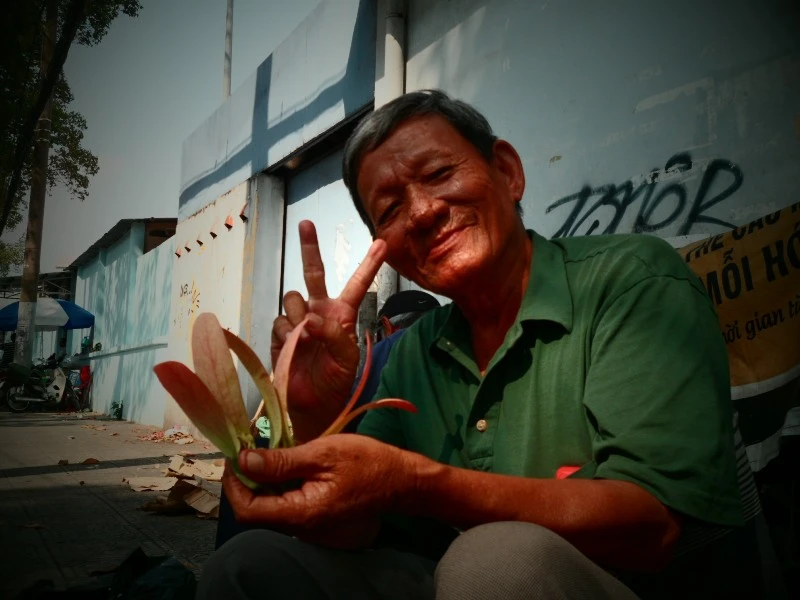 Sài Gòn lãng mạn mùa trái dầu bay ảnh 2