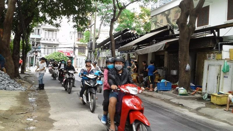 Cây phượng trong con hẻm phường 2 Quận Tân Bình là nơi ong làm tổ.