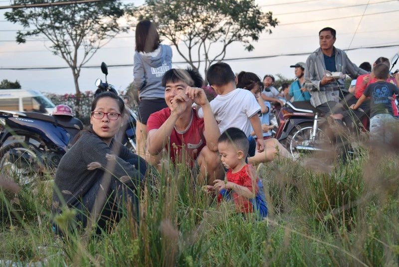 Mê mẩn cánh đồng diều Hóc Môn