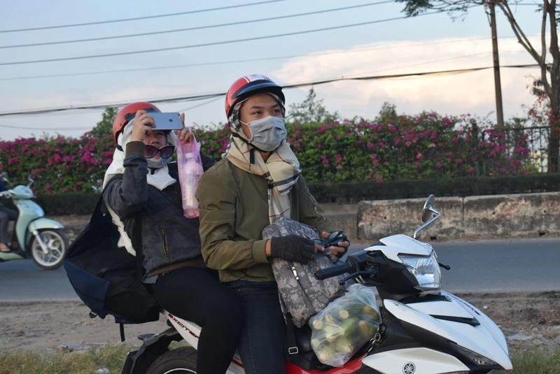 Mê mẩn cánh đồng diều Hóc Môn