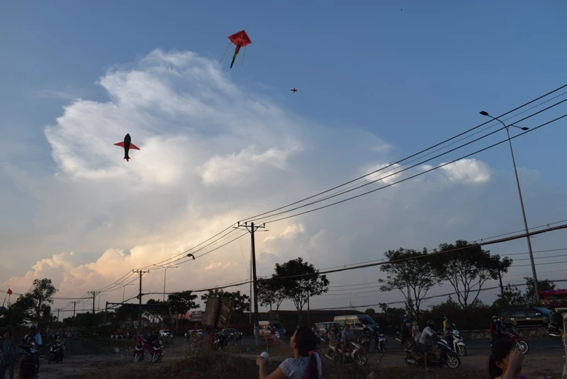 Mê mẩn cánh đồng diều Hóc Môn