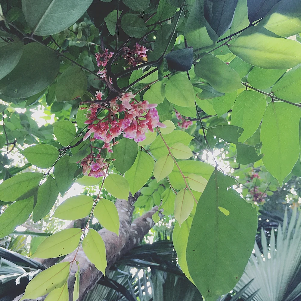 Lớn rồi chẳng mong gì, chỉ mong người thân đừng già đi... ảnh 1