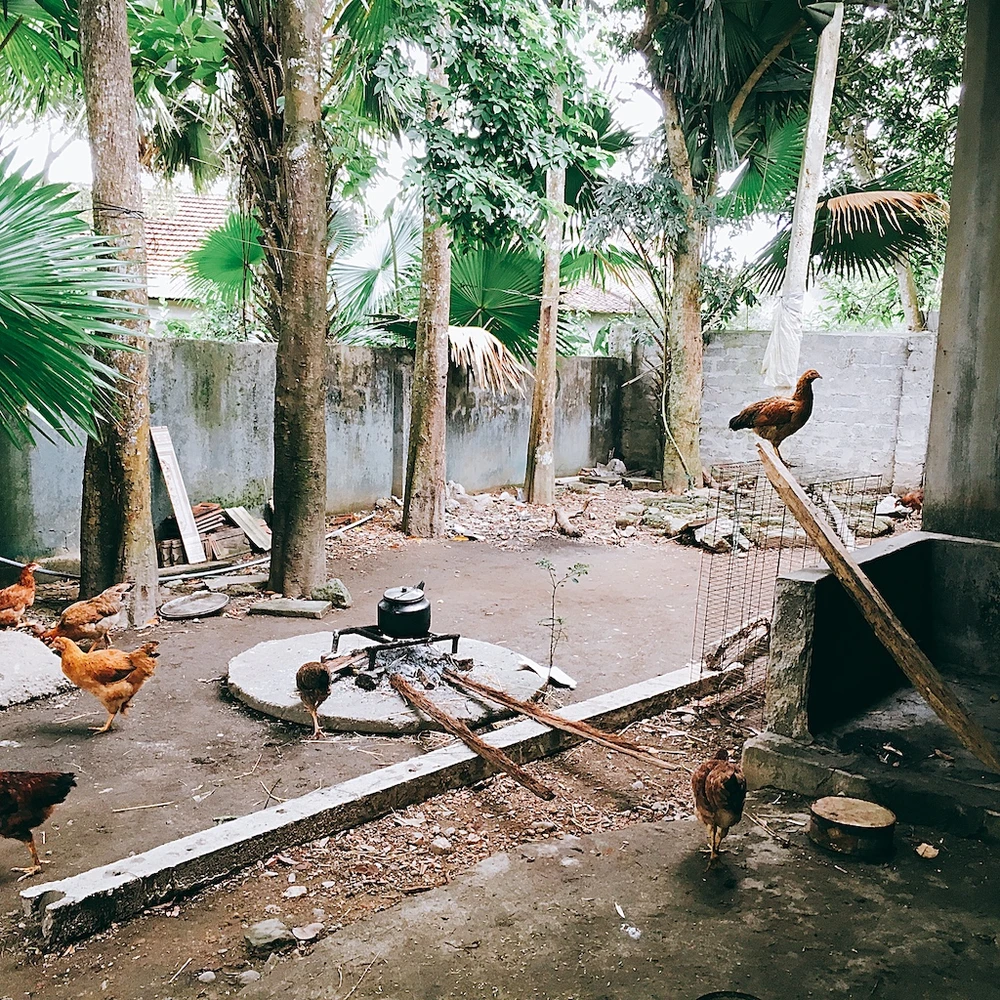 Lớn rồi chẳng mong gì, chỉ mong người thân đừng già đi... ảnh 2