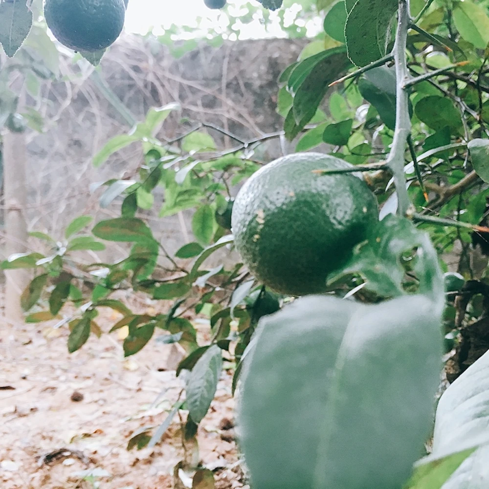 Lớn rồi chẳng mong gì, chỉ mong người thân đừng già đi... ảnh 3