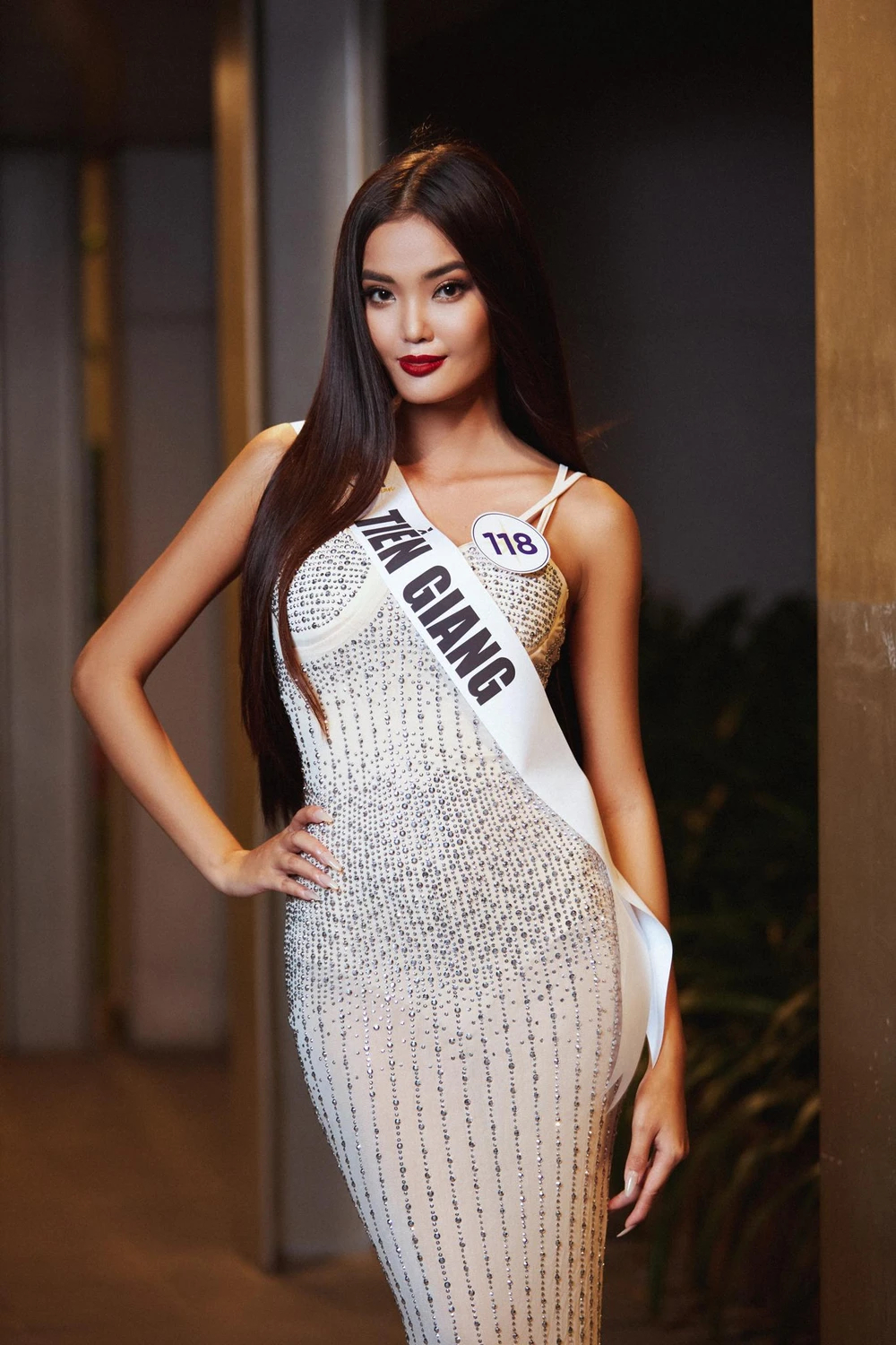 Nguyễn Thanh Thanh là người mẫu, diễn viên tự do. Cô sở hữu chiều cao 1m68 cùng số đo ba vòng 79-60.5-92. Cô sở hữu giọng hát ấm áp truyền cảm. Đến với Hoa hậu Hoàn vũ Việt Nam, cô bày tỏ rất mong muốn xây dựng dự án cộng đồng liên quan đến người vô gia cư, giúp đỡ họ vượt qua khó khăn