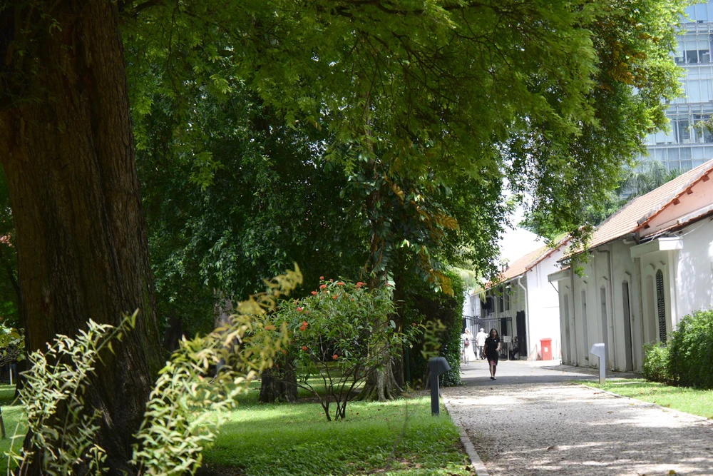 Ngắm Dinh thự Tổng Lãnh sự Pháp mỗi năm chỉ mở cửa một lần ảnh 4