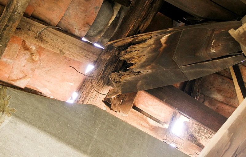 Chùm ảnh: Mối mọt tấn công ngôi đình trên 300 năm tuổi ảnh 11