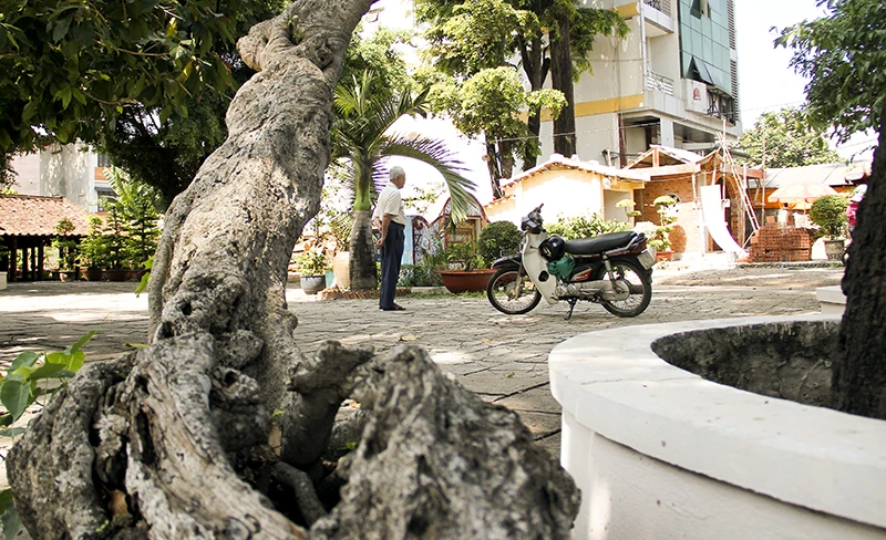 Chùm ảnh: Mối mọt tấn công ngôi đình trên 300 năm tuổi ảnh 17