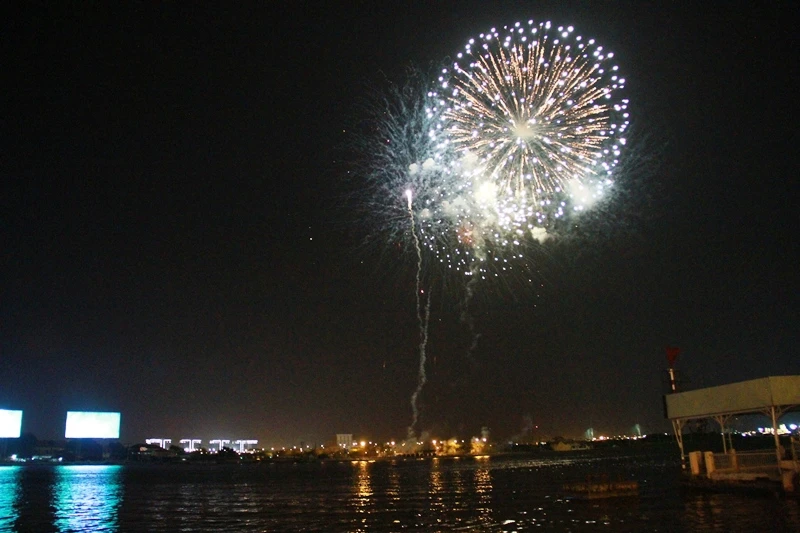 Lung linh pháo hoa chào năm mới Bính Thân ảnh 10