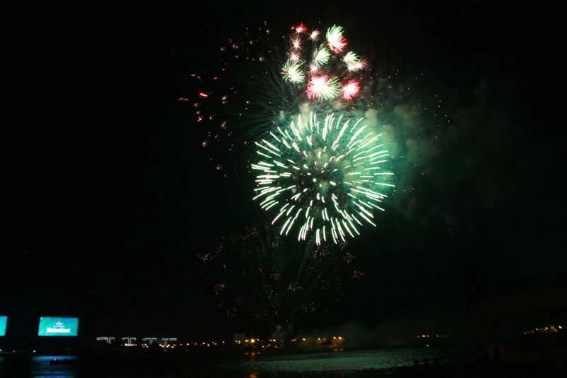 Lung linh pháo hoa chào năm mới Bính Thân ảnh 4