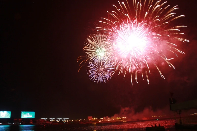 Lung linh pháo hoa chào năm mới Bính Thân ảnh 5
