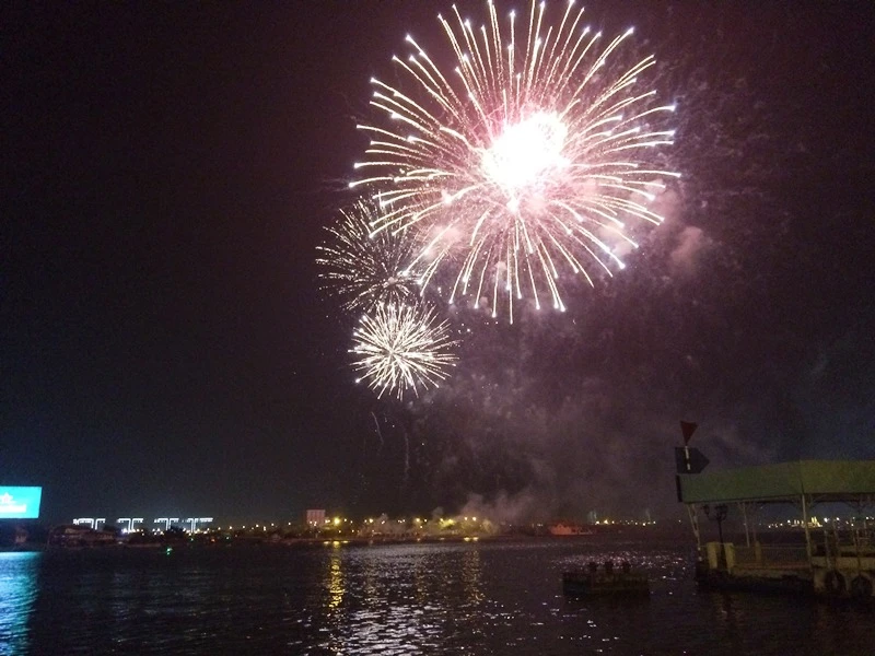 Lung linh pháo hoa chào năm mới Bính Thân ảnh 6