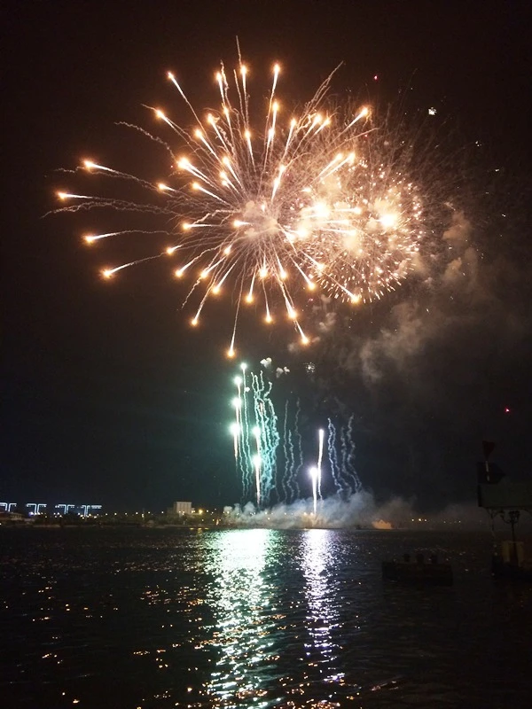 Lung linh pháo hoa chào năm mới Bính Thân ảnh 9