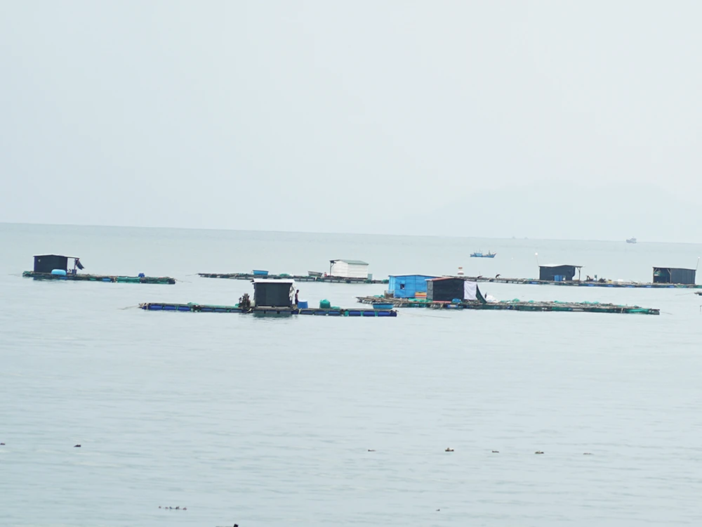 Ninh Thuận: Huy động toàn lực ứng phó bão Damrey ảnh 14 Ninh Thuận: Huy động toàn lực ứng phó bão Damrey ảnh 14