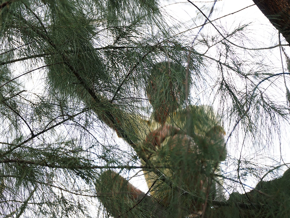 Ninh Thuận: Huy động toàn lực ứng phó bão Damrey ảnh 12 Ninh Thuận: Huy động toàn lực ứng phó bão Damrey ảnh 12