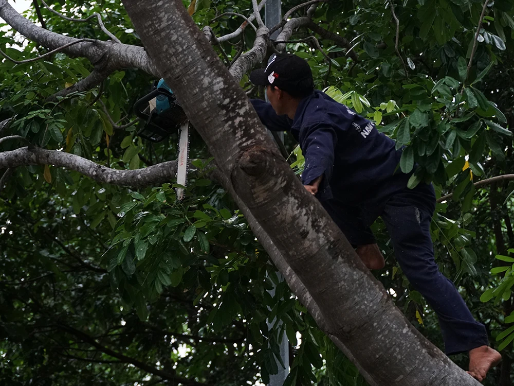 Ninh Thuận: Huy động toàn lực ứng phó bão Damrey ảnh 8 Ninh Thuận: Huy động toàn lực ứng phó bão Damrey ảnh 8